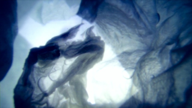 Underwater GoPro Test Blue 0